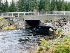 Statens vegvesen skal leggja ei mellombels bru over E134 Klevastaul bru for å sikra framkomme og tryggleik for trafikantane.