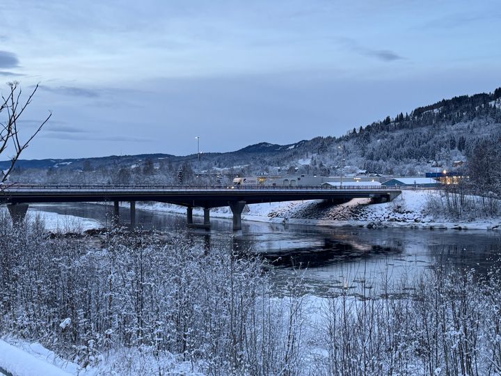 Bilde av Bårdshaug bru sett fra siden.