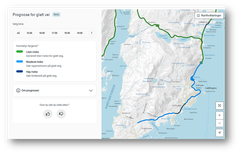 Kartutsnitt som viser veier med forventet føreforhold