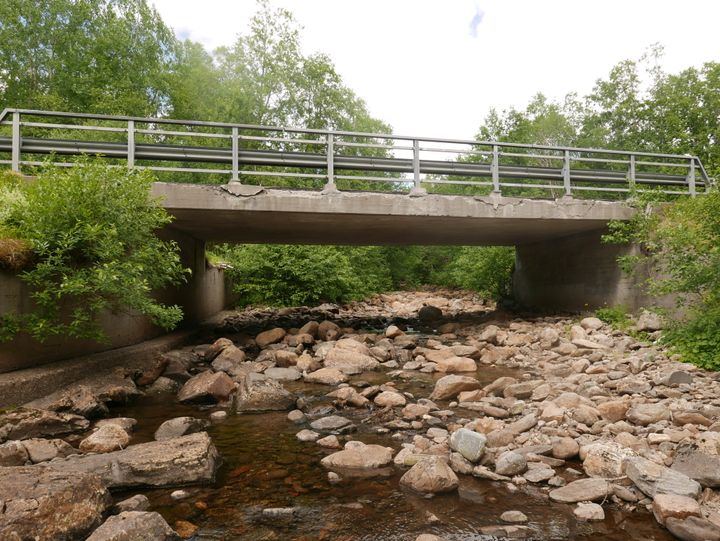 Bilde av brua sett fra siden og elveløpet.