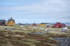 Flere trehus i kystlandskap.