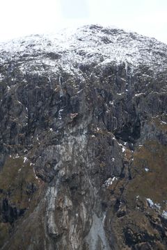 Statens vegvesen treng tid for å oversikt over losneområdet ved E134 Fjæra i Etne. Foto: Emil Solbakken, Statens vegvesen