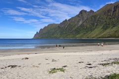 Seks mennesker går tur og lufter hundene sine i vannkanten langs den vakre Ersfjordstrana.