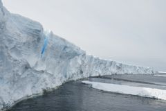Isbrem i Antarktis