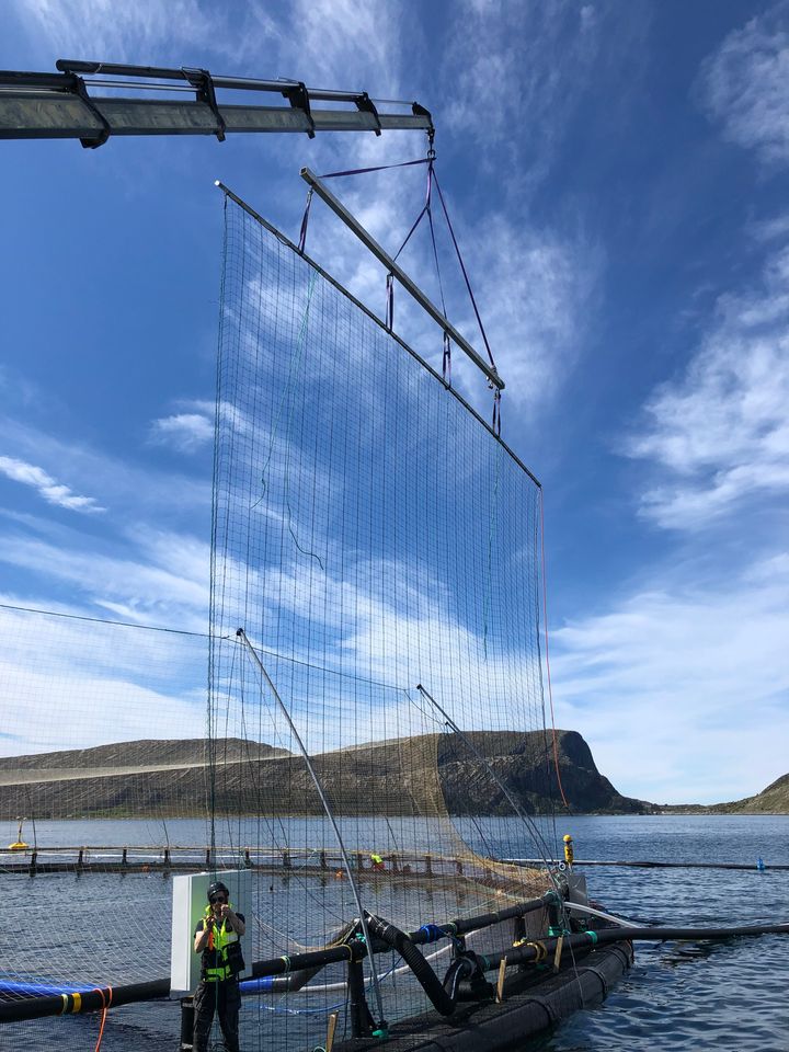 Harbor fence