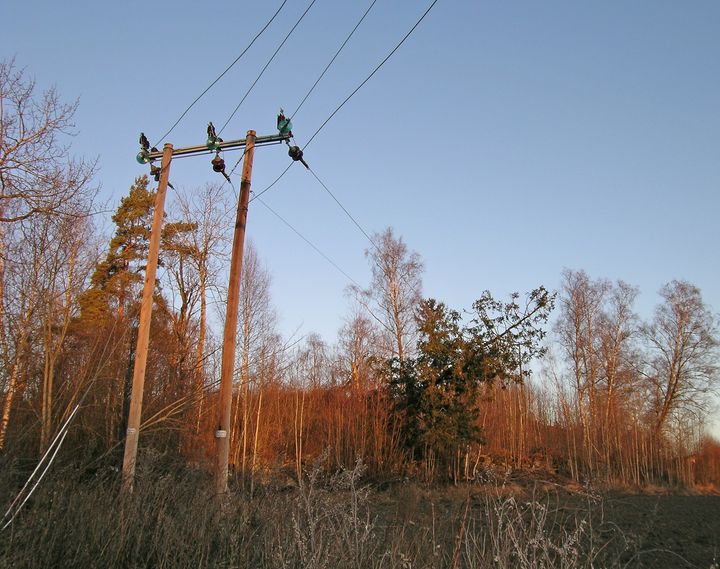 Trefall over strømlinje