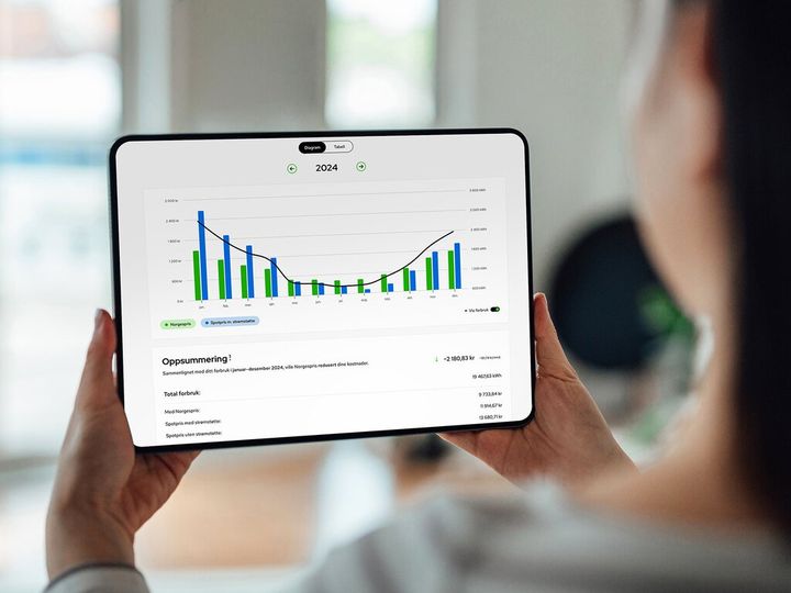 Det er ikke alltid lett å vite hva som lønner seg, men blant annet Elvia har utviklet en Norgespriskalkulator som baserer seg på tidligere forbruk.