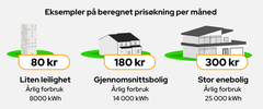 Illustrasjon av hhv blokkeilighet, rekkehus og stor enebolig som illustrerer prisforksjellen