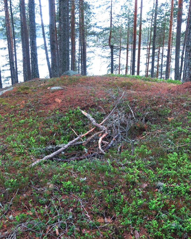 Freder skogfinsk gravholme | Riksantikvaren