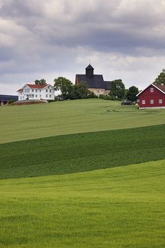 Ved Tingelstad gamle kirke, Gran