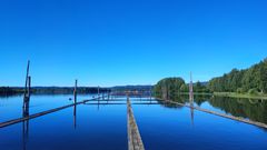 Lenseanlegg i vann, med sterke blåfarger, grønn skog langs elvebredde og blå himmel i bakgrunnen.