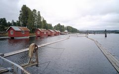 En rekke røde naust av tre langs kanten av en rolig innsjø, med trær i bakgrunnen og en trebrygge som strekker seg ut i vannet under en overskyet himmel.