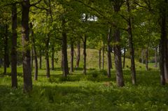 Borrehaugene i Vestfold.