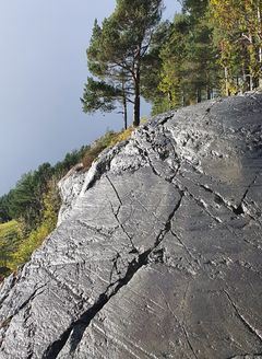 Helleristningsfeltet på Vangdal.
