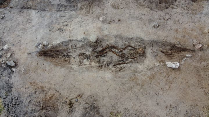 Kvinne med kjæledyr i grava