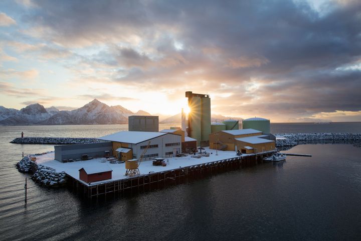 På den vesle øya Svinøya sør for Hadseløya i Hadsel kommune i Nordland ligg sildoljefabrikken som, då ho blei etablert i 1910, var landets mest moderne. Neptun Sildoljefabrikk er freda som eitt av dei teknisk-industrielle kulturminna som er viktige for nasjonen si industrihistorie.