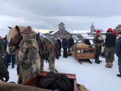 Lasskøyrarar på Røros.