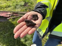 En person kledd i en gul jakke holder to mørke, uregelmessige jord- eller steinbiter i hånden, mens det i bakgrunnen kan skimtes gress og spader.