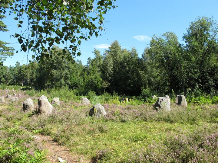 Store steiner ligger spredt utover en åpen, gresskledd eng omgitt av trær under en klar, blå himmel.