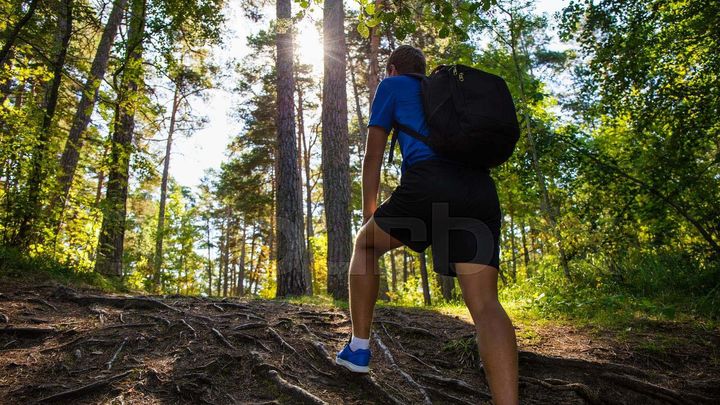 Mann som går på tur i skogen