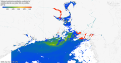Satellittbilder tatt over Oslofjorden med Sentinel 3-satellitten, fra EU-kommisjonens Copernicus Marine Service, den 15. august, viser en tydelig «tunge» av flomvann fra Glomma i ytre Oslofjord og nedover langs kysten av Skagerrak. Bildene viser at dette flomvannet har et høyt innhold av partikler og organisk materiale. I tillegg ser vi tendenser til en algeoppblomstring i satellittbildene, men dette må sjekkes nærmere.
