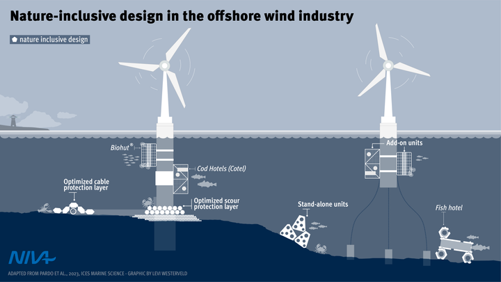 En illustrasjon fra NiD4Ocean prosjektet med eksempler på naturinkluderende design i havvindindustrien