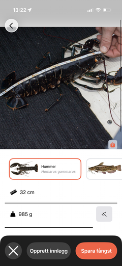Fishbuddys SmartCatch-teknologi identifiserer hummeren og estimerer automatisk lengde og vekt fra et bilde.