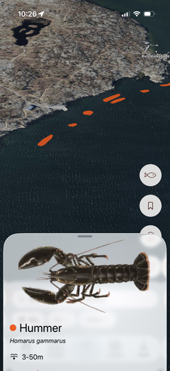 Hummerfelt i Fishbuddy-appen, vist på satellittkart.