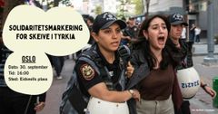 Solidaritetsmarkering for skeive i Tyrkia