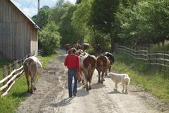 Prosjektet omfatter 12 land i Europa. Her fra Romania.