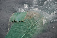 fiskeredskap brukt til bunntråling av fisk