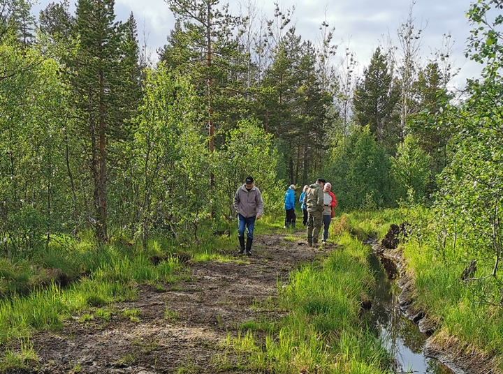 Personer i skogen