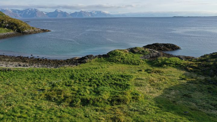 rester av gamle hus som vises i naturen