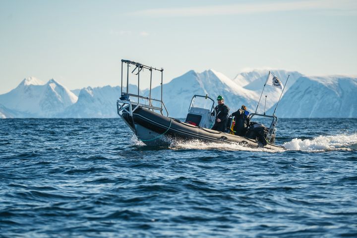Forskere på tokt på havet utenfor Andøya våren 2025