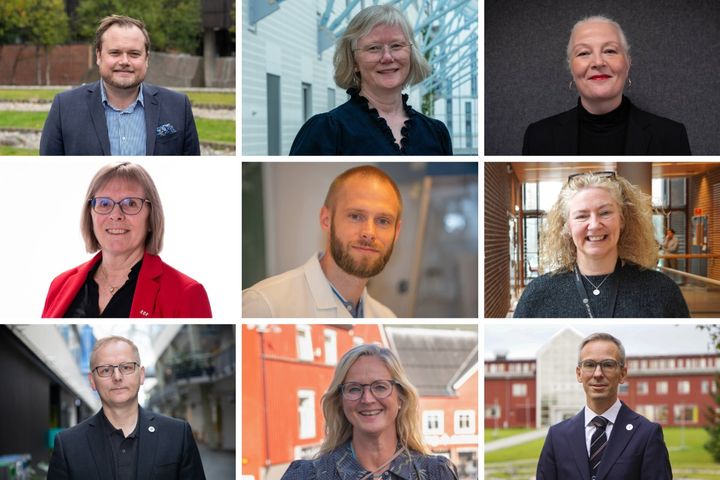 En komposisjon av portrettbilder, stående på ulike lokasjoner.