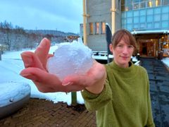 Illustrasjonsbilde til mikroemnet "Life on a changing planet".