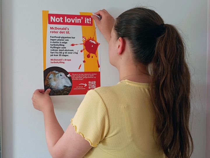 En person henger opp en kritisk plakat om McDonald's.