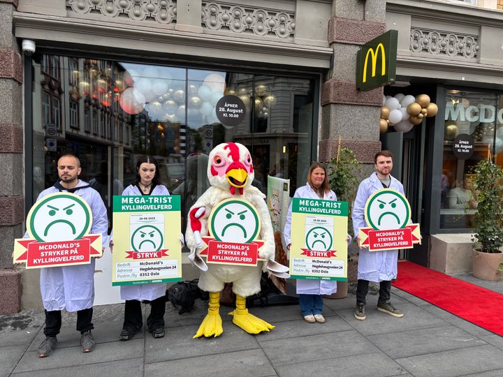 Dyrevenner utkledd som matkontrollører i hvite laboratoriefrakker som holder protestskilt mot McDonald’s salg av turbokylling.