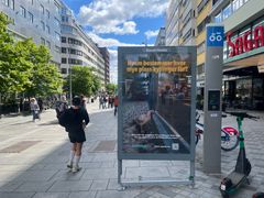 Reklameplakat på gata med bilde av kyllinger i bur og tekst relatert til dyrevern.