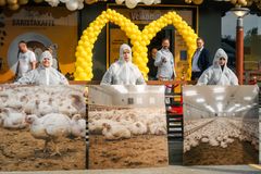 Frivillige fra Anima demonstrerer utenfor en McDonald's-restaurant og holder bilder av kyllinger i et fjøs.