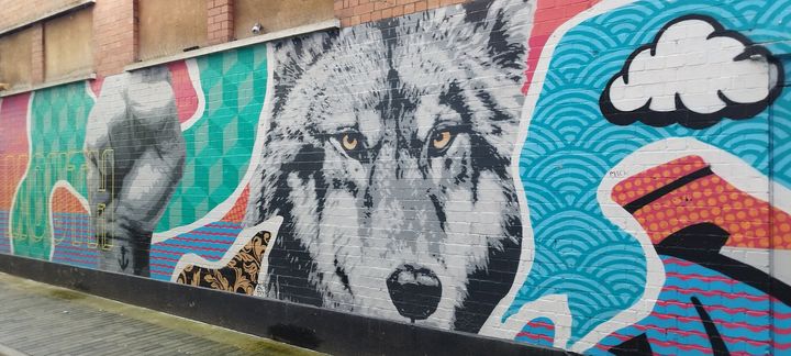 Gatekunst i Belfast i Nord-Irland. Selv om det er lenge siden ulven ble utryddet i Irland, står ulven fortsatt sentralt i irsk forestillingsverden. Likevel har forslag om å gjeninnføre ulv blitt møtt med kraftige protester og satt ulike grupper opp mot hverandre som har ulike ønsker for hvordan fremtiden for den irske landsbygda skal være.