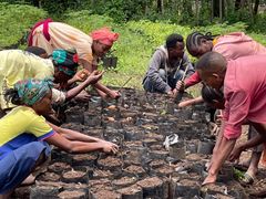 Planting av frukttrær skal bidra til å diversifisere levebrødet i Bale-fjellene, Etiopia.