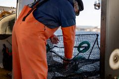 NMBU på feltarbeid i Oslofjorden