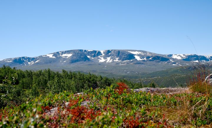 Utsikt mot Hallingskarvet.