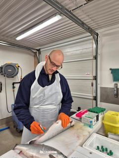 Vegard Flo i sving med å opparbeide prøver.