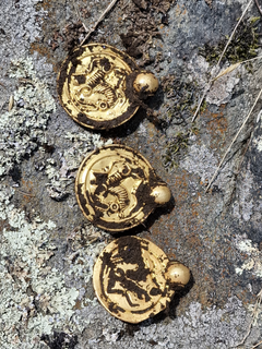 Gullskatten fotografert like etter at Erlend Bore fant dem i jorda med metallsøker.