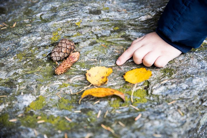 En gutt leker med konkreter i naturen.