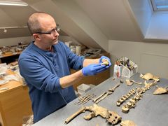 5 a. Arkeolog og skjelettekspert Sean Dexter Denham undersøker kvinneskjelettet som ble funnet under en utgraving utenfor Stavanger domkirke