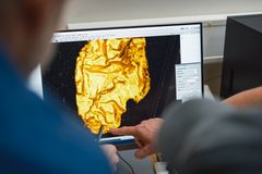 Gullgubben i mikroskop, vist på skjerm.