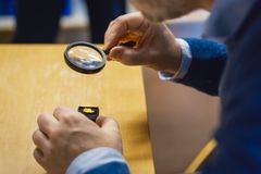 Gullgubben er svært liten, rundt 1 cm.